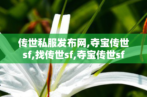 传世私服发布网,夺宝传世sf,找传世sf,夺宝传世sf