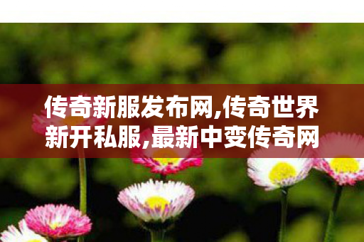 传奇新服发布网,传奇世界新开私服,最新中变传奇网站,传奇世界新开私服