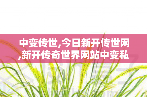 中变传世,今日新开传世网,新开传奇世界网站中变私服,今日新开传世网