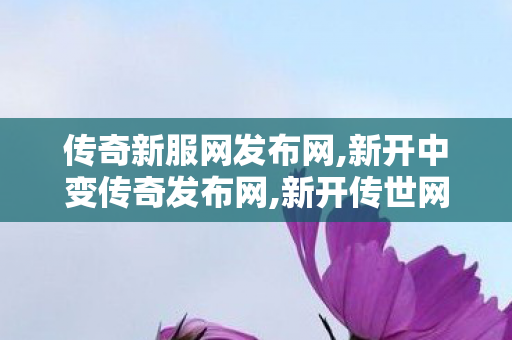 传奇新服网发布网,新开中变传奇发布网,新开传世网站发布网,新开中变传奇发布网