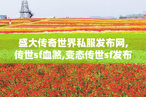 盛大传奇世界私服发布网,传世sf血煞,变态传世sf发布网新服,传世sf血煞