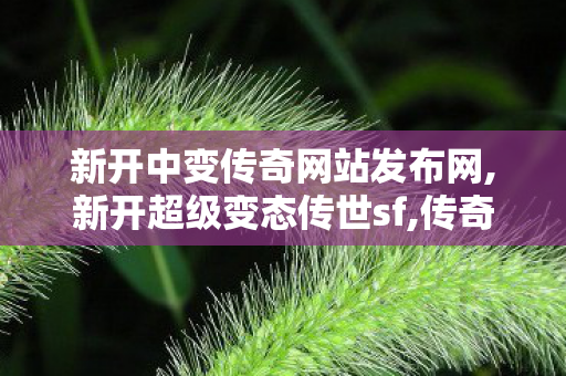 新开中变传奇网站发布网,新开超级变态传世sf,传奇世界私服,新开超级变态传世sf