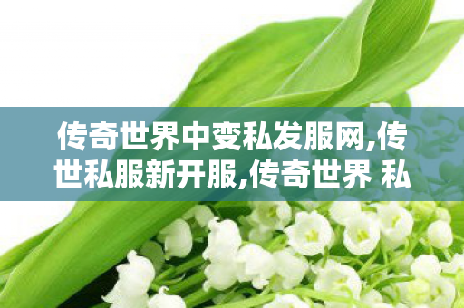 传奇世界中变私发服网,传世私服新开服,传奇世界 私服,传世私服新开服