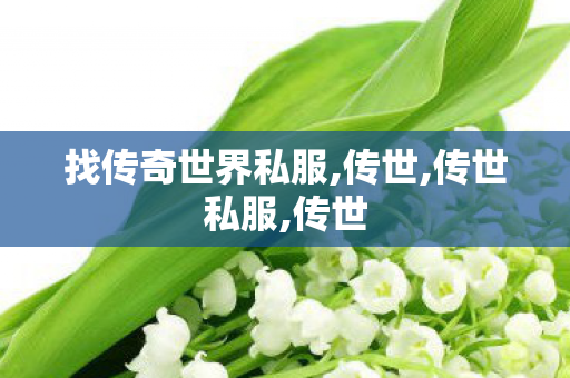 找传奇世界私服,传世,传世私服,传世