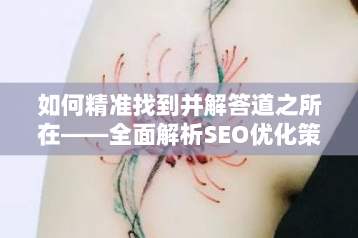 如何精准找到并解答道之所在——全面解析SEO优化策略