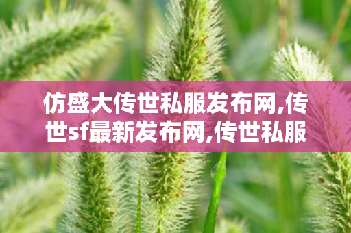 仿盛大传世私服发布网,传世sf最新发布网,传世私服发布网址,传世sf最新发布网
