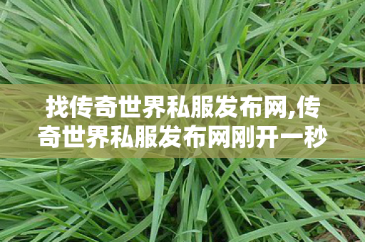 找传奇世界私服发布网,传奇世界私服发布网刚开一秒,找传世网,传奇世界私服发布网刚开一秒