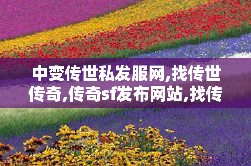 中变传世私发服网,找传世传奇,传奇sf发布网站,找传世传奇