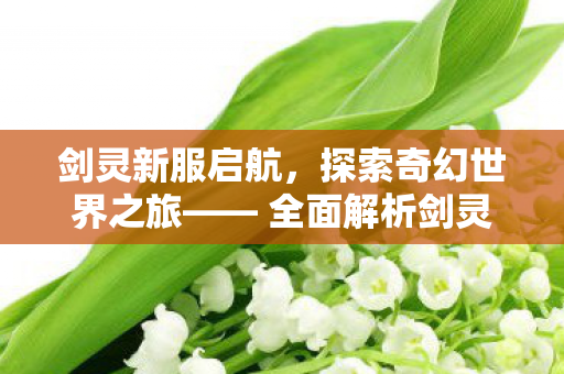 剑灵新服启航，探索奇幻世界之旅—— 全面解析剑灵新开服精彩内容