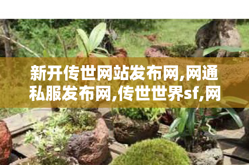 新开传世网站发布网,网通私服发布网,传世世界sf,网通私服发布网