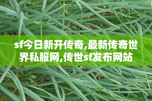 sf今日新开传奇,最新传奇世界私服网,传世sf发布网站,最新传奇世界私服网
