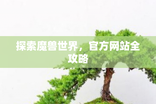 探索魔兽世界，官方网站全攻略