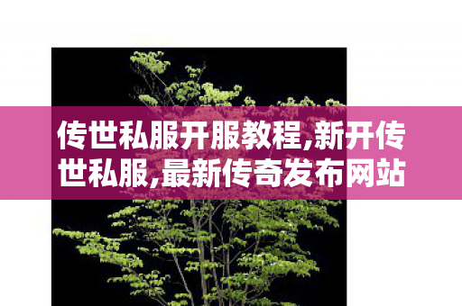 传世私服开服教程,新开传世私服,最新传奇发布网站,新开传世私服