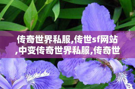 传奇世界私服,传世sf网站,中变传奇世界私服,传奇世界中变sf发布,中变传奇世界私服