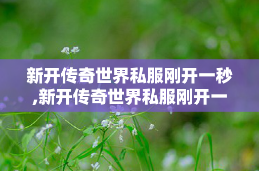 新开传奇世界私服刚开一秒,新开传奇世界私服刚开一秒,传世私服发布网新开服,新开传奇世界私服刚开一秒