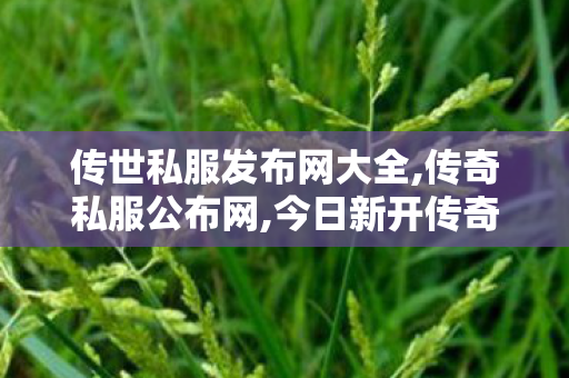传世私服发布网大全,传奇私服公布网,今日新开传奇世界私发服网,传奇私服公布网
