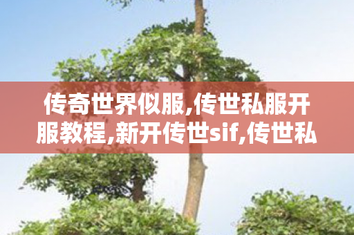 传奇世界似服,传世私服开服教程,新开传世sif,传世私服开服教程
