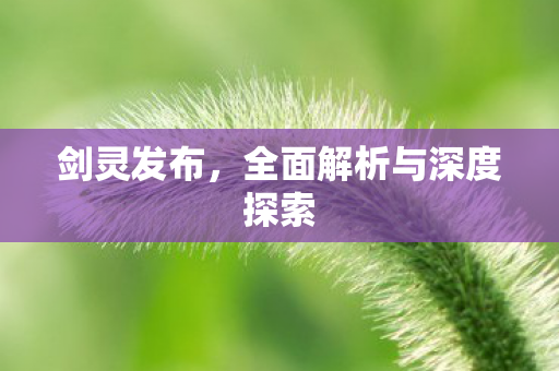 剑灵发布，全面解析与深度探索