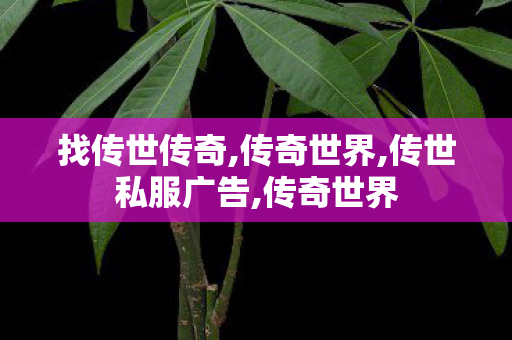 找传世传奇,传奇世界,传世私服广告,传奇世界