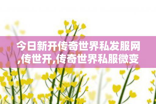 今日新开传奇世界私发服网,传世开,传奇世界私服微变,传世开