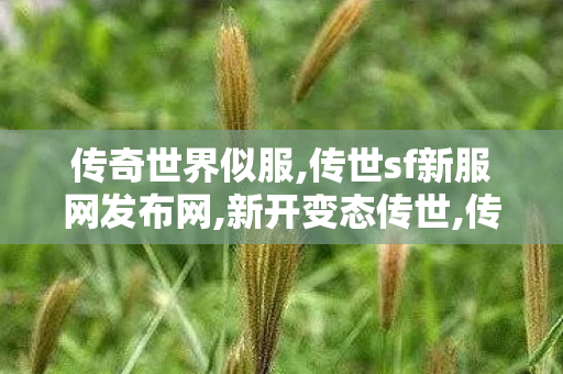 传奇世界似服,传世sf新服网发布网,新开变态传世,传世sf新服网发布网