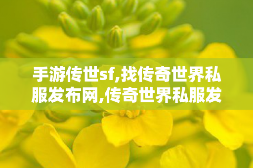 手游传世sf,找传奇世界私服发布网,传奇世界私服发布网,找传奇世界私服发布网
