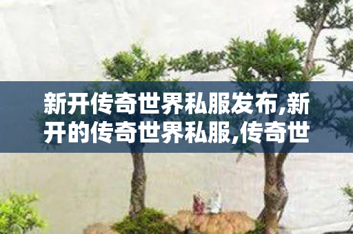 新开传奇世界私服发布,新开的传奇世界私服,传奇世界老版本客户端,新开的传奇世界私服