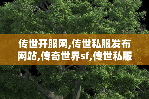 传世开服网,传世私服发布网站,传奇世界sf,传世私服发布网站