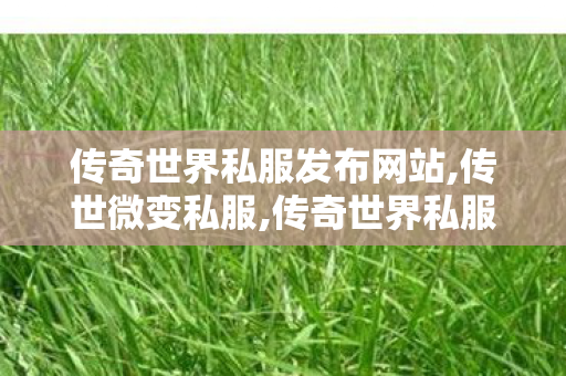 传奇世界私服发布网站,传世微变私服,传奇世界私服,新开私服,传世微变私服