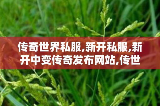 传奇世界私服,新开私服,新开中变传奇发布网站,传世界私服发布网,新开中变传奇发布网站