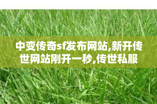 中变传奇sf发布网站,新开传世网站刚开一秒,传世私服怀旧,新开传世网站刚开一秒