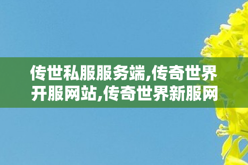 传世私服服务端,传奇世界开服网站,传奇世界新服网发布网,传奇世界开服网站