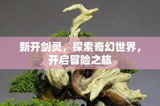 新开剑灵，探索奇幻世界，开启冒险之旅
