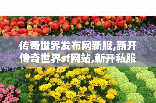 传奇世界发布网新服,新开传奇世界sf网站,新开私服传世,新开传奇世界sf网站