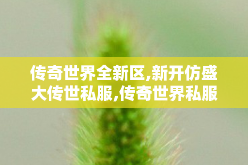 传奇世界全新区,新开仿盛大传世私服,传奇世界私服发布网,新开仿盛大传世私服