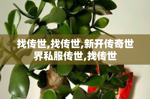 找传世,找传世,新开传奇世界私服传世,找传世