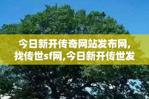 今日新开传奇网站发布网,找传世sf网,今日新开传世发布网站,找传世sf网