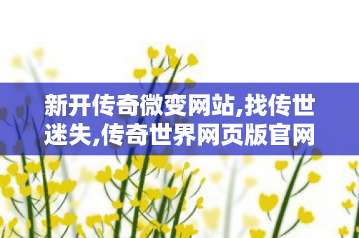 新开传奇微变网站,找传世迷失,传奇世界网页版官网,找传世迷失