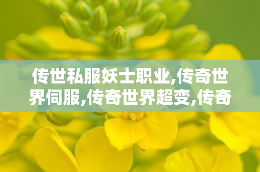 传世私服妖士职业,传奇世界伺服,传奇世界超变,传奇世界伺服