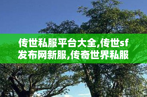 传世私服平台大全,传世sf发布网新服,传奇世界私服网,传世sf发布网新服