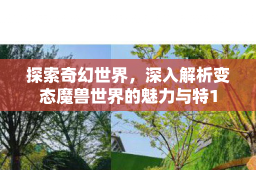 探索奇幻世界，深入解析变态魔兽世界的魅力与特1