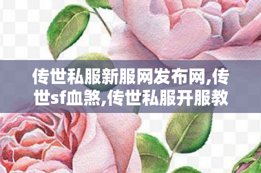 传世私服新服网发布网,传世sf血煞,传世私服开服教程,传世sf血煞