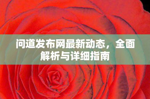 问道发布网最新动态，全面解析与详细指南