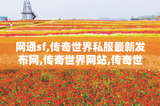 网通sf,传奇世界私服最新发布网,传奇世界网站,传奇世界私服最新发布网