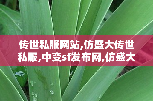 传世私服网站,仿盛大传世私服,中变sf发布网,仿盛大传世私服