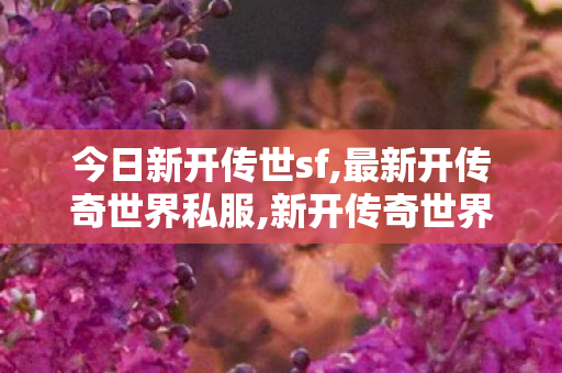 今日新开传世sf,最新开传奇世界私服,新开传奇世界私服,最新开传奇世界私服