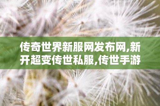 传奇世界新服网发布网,新开超变传世私服,传世手游私sf,新开超变传世私服