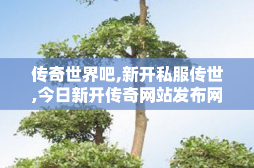 传奇世界吧,新开私服传世,今日新开传奇网站发布网,新开私服传世