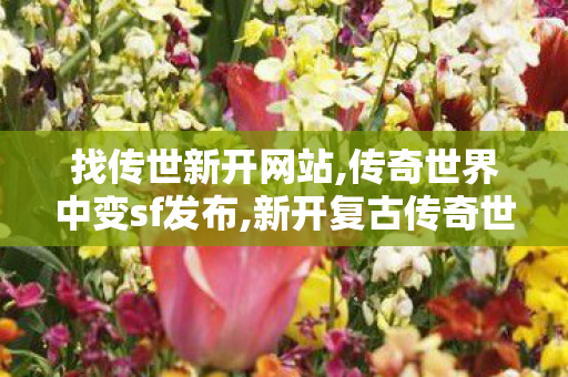 找传世新开网站,传奇世界中变sf发布,新开复古传奇世界私服,传奇世界中变sf发布