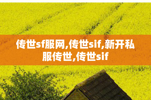 传世sf服网,传世sif,新开私服传世,传世sif